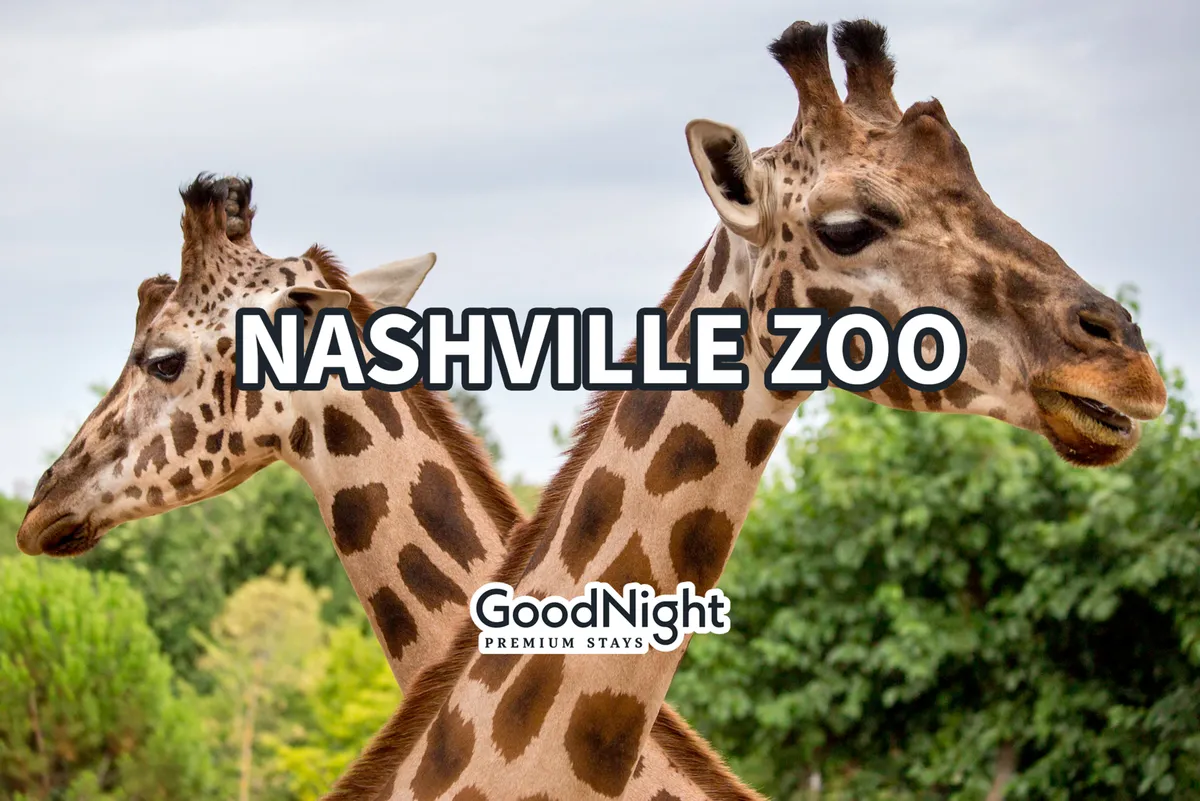 This image captures a pair of giraffes in a lush, green outdoor setting at the Nashville Zoo, inviting a sense of family adventure and educational fun. The vibrant scene shows the animals up close, with ample greenery in the background, creating a joyful and engaging atmosphere perfect for family outings.